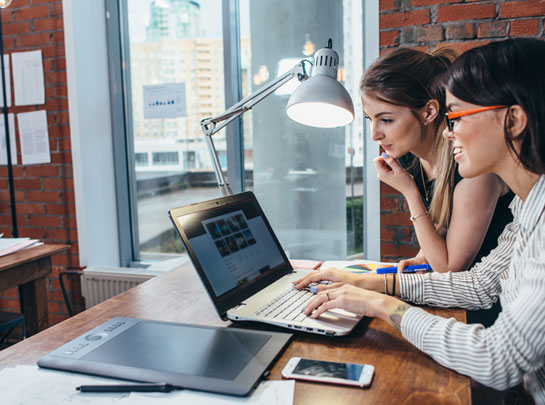 THE ACCESSIBILITY OF THE WEBSITE